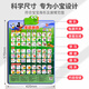 Disney Disney Audio Early Education Poster Bild Baby und Kinder Pinyin Voice Toys Alphabetisierung Baby Punkt Reading Abschlussgeschenke kennen Gemüse [Geben Sie Akku]
