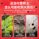 Yonghuan watermelon special nutrient soil watermelon special fertilizer soil watermelon nursery soil universal organic base watermelon special nutrient soil 30Jin Jin equals 0.5 kg