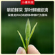 小罐茶园·龙井茶 25年明前绿茶正宗龙井茶原产地钱塘产区茶叶礼盒100g 