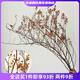 Wen Shi Ou Shan Return, natürliche Pflanze, getrockneter Blumenstrauß, Wohnzimmerdekoration, Wabi-Sabi-Windblumenarrangement, trockene Zweige, dekorative Ornamente, trockene Zweige, feine orangefarbene Bergrückkehr, 5 getrocknete Blumen 100–11