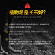 
Dr. Jiang Soil Detector Horticulture Detector Probe Soil PH Humidity Light [Four-in-1] Detection