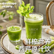 Mr. Little Tie Jugo de apio 0 Saccharin Free Fruit and Vegetable Juice Bebida Líquido Reemplazo de comida descontinuada 100% Bebida de baja grasa 1050ml