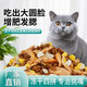 He Jian Gong fresh meat nutritious cat food 5 Jin Jin equals 0.5 kg Ocean fish flavor adult cat food Stray cats universal 10 Jin Jin equals 0.5 kg 4 Pure food 10 Jin Jin equals 0.5 kg Basic model 1lb