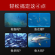 
Leqi Wireless Sonar Fish Detector Ultrasonic Underwater Fishing Sonar Detector Luya Wireless Regular Model