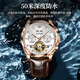 European Pinke Swiss Certified Watch Herren Vollautomatische mechanische Uhrenwache wasserdichte leuchtende Herren Uhr 520 Valentinstag Geschenk European Pinke-3291-Brown Leder Rosenweiß kostenlos Gravur