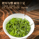 亿公子安溪铁观音茶叶2025明前新茶春茶安溪清香铁观音兰花香茶叶自己喝 【明前春茶】250克*1袋