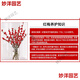 Hydroponic flowering, hydroponic fresh-cut red plum blossoms, indoor fragrant cold-resistant flowers, bloom when exposed to water, peach branches New Year's Eve flowers, fresh-cut red plum blossoms, long flowering period, with buds + #Buy 10 plus 10 (received 20) full bloom