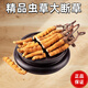 冬虫夏草高海拔虫草断草正品滋补20克送2克自用正宗家庭装 西藏那曲精品大断草买20克送2克