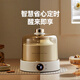 飒望【德国】 酸奶机 家用小型全自动酸奶发酵机纳豆机米酒机泡菜机智能精准控温恒温发酵全玻璃内胆 1 酸奶机【玻璃款+分杯】