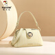 Holzspecker (Tucano) Bag Damen 2025 Neues High-End-Luxus-Luxus-Boston-Kissenbeutel vielseitige Handtasche Single Schulter-Cross-Body-Tasche