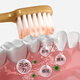 Xuyu Kinder Zahnbürste Weiche Borste 3-6-12-15-jährige Grundschüler Zahnbürste SAMS gleicher Qualität Inter-Tooth Pinsel
