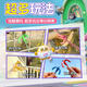 Yuanqi Children's Fun Egg Claw Toys Luminous Blue Spring Claw Glowing Machinery Grip Hook Party Game Peripheral Blind Box Toys [Lighting Style] Full Set of Four Packs