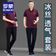 罗蒙（ROMON）爸爸装夏季冰丝短袖t恤套装男士中老年父亲节休闲运动弹力polo衫 （761款）湖蓝 3XL