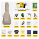 Fanxi Guitar Intelligence bureau
