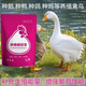 Chicken brand breeder breeder, duck breeder, goose breeder, pigeon breeder, egg-increasing parrot to increase fertilization rate, bird-specific vitamin premix white egg, 500g breeder bird essence Duobao, increase rate