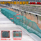 GJXBP lobster net fish shrimp net cage fish net cage can not come out only fishing net fishing small fish ground net ground dragon ground net cage turtle cage 5 meters 17 sections 10 holes with pendant full set of leather shipped today