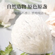 Zuoliang Bird's Nest getrocknetes Vogelnest aus Indonesien Schwangeres Frauen Nest Vogel Nest Nest Nest Nest Nest Nutritional Nahrungsergänzungsmittel 9A Rückverfolgbarkeit 100 Gramm [etwa 14 Tassen]