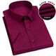 Goldlion Men's Clothing 2025 Summer Men's Business Formal Shirt Shirt Short à manches sans repasser