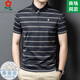 Camiseta de manga corta de seda de seda de 100 muelas de Montagut Summer Summer Daddy Clothy Camiseta de solapa de rayas casual A829-Green M 165 Adecuado para 100-115Jin [Jin es igual a 0,5 kg]