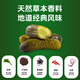 Lasicilia rusa pepino agrio 680g*2 botellas Vietnam importada de pepino leche pepindea de pepino hamburguesas alimentos occidentales