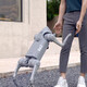 UNITERE SPOT UNITREE VOICE AI BIG MODEL ROBOT DOG DOG тиснему