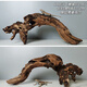 Lizard de león con múltiples mascotas sube 30-80 cm Guardias de reptiles de madera para evitar ramas de rana de árboles decorativas paisajismo H1047 Calidad