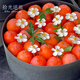 Shiguang reverse travel delivers flowers and fruit gift boxes in the same city. French fruit gift boxes and fruit baskets as birthday gifts for elders, wives and girlfriends. Good persimmons and persimmons with eternal violets and nine-star leaves. Fruit and flower gift boxes
