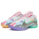 NIKE男鞋 25夏季新款运动鞋LEBRON 22詹姆斯22缓震耐磨场上实战篮球鞋 FZ1098-100 43