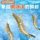 Verrückte Wasserpflanzen (verrückte Wasserpflanzen) Schmetterling Karpfen Spezialfutter sinken protein-kOI-Futter schwebende kleine Partikel Zierkörner Getreide sinken Getreide-Sea Grad 47 hochprotein [5,5 mm große Partikel] 3524