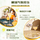 风间原瓶进口洋酒威士忌伏特加白兰地龙舌兰朗姆酒金酒鸡尾酒调酒基酒 威士忌+白兰地+伏特加三支组合装