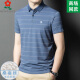 梦特娇（MONTAGUT）梦特娇男装桑.蚕.丝短袖t恤夏季中年商务休闲条纹翻领polo衫 A829-兰色 2XL 180适合145-165斤