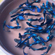 Ice basket guppy ink blue purebred guppy basket dress small tropical fish coral basket tail viviparous fish package live purebred ice blue 3-4 months old 1 pair