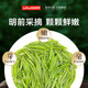 Lepin Lecha Tea Leaf Green Tea Special Maojian 2025 New Tea Mingming Spring Tea Tender Sprouts Cold Brew Tea Relieve Summer 250g Gift Bag