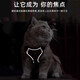 Cat traction rope anti-breakaway vest-style harness reflective and breathable outdoor cat leash pet adjustable artifact upgraded model gray + 1.5m flat rope M size