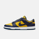 Nike (NIKE) [Trendy] Dunk Low Retro Low Top Retro Anti-Slip Anti-wear Lightweight Breathable Casual Shoes DD1391-700 41