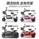 Phoenix Q3 parent-child electric tricycle household small elderly walking electric vehicle elderly leisure small tricycle two-seater + 800W differential + 20A lithium battery + about 50 kilometers