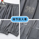 
Woodpecker Ice Silk Pants Men's Casual Pants Men's Summer Thin Loose Foot Trousers Mesh Breathable Trendy Quick-Drying Sport Pants Gray XL (Suggested 130-150Jin [Jin equals 0.5 kg])