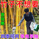 Cyclazinone is a special medicine to remove dead trees and rotten roots of large trees. Herbicide is a special medicine to remove big trees and remove rotten roots of bamboo. Genuine Cyclazinone 2Jin Jin is equal to 0.5kg