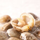 Fresh large clams 300g (18-26 capsules)