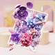 13060 Bausteine versammelten Bausteine Rosen dreidimensionale Fotorahmen Desktop-Ornament Geschenke Meiji 13063 Gold und Lila