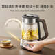 SUPOR tea kettle health kettle electric kettle tea kettle aerospace grade pure titanium high temperature extraction automatic temperature control insulation steam spray tea kettle office home SW-10C21