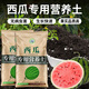 Yonghuan watermelon special nutrient soil watermelon special fertilizer soil watermelon nursery soil universal organic base watermelon special nutrient soil 30Jin Jin equals 0.5 kg