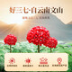 Peking Tongrentang Panax Notoginseng Pulver 3G*30 Beutel Authentische Yunnan Superfine Panax Notoginseng Pulver Geschenk 1 Box