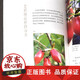 Lao CANG Persimmon Bonsai Pengda propagation greffant Couper les connaissances de base de la CANG LAO Persimmon, Compétences de maintenance, conseils de production et autres livres de bonsaï 1475 Chine Forestry Publishing House