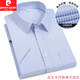
Pier Cardin summer thin short-sleeved shirt for men, middle-aged and young business professional work clothes blue shirt for men, half-sleeved solid color work clothes DX6623 38 (recommended 100-120 Jin [Jin equals 0.5 kg])