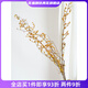 Wen Shi Ou Shan Returns Natural Plant Dried Flower Bouquet Living Room Decoration Wabi-sabi Wind Flower Arrangement Dried Branches Decorative Ornaments Dried Branches Southern Snake Vine Dried Flowers 3 Branches 80-100cm