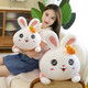 Mignon lapin oreiller fille dormant avec les jambes en peluche jouet lapin poupée Internet célébrité longue poupée meilleur ami cadeau heureux tous les jours 70cm