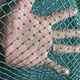 Chicken net, chicken net, fishing net, breeding net, fence net, nylon vegetable garden fence, climbing vine grid, chicken net, protective fish net, thickened 18 strands, 3 cm, thickened ribs, 1.2 meters high, 10 meters long