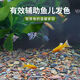 Stream stone ultra-fine bottom sand fish tank turtle tank bottom sand stream sand bottom stone fish tank landscaping stone native stone 3 to 5 cm 30 Jin Jin is equal to 0.5 kg.