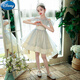 Vestido de princesa de Disney Vestido de cumpleaños para niñas Niños de altura de alta gama Flores Flores Boda Piano Piano Tocio Tw683 White [Sigue la corona] 130 cm